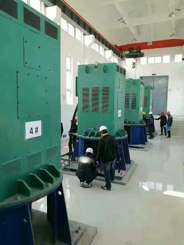 平南某污水处理厂使用我厂的立式高压电机安装现场