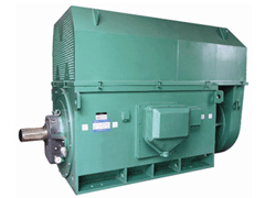 平南Y系列6KV高压电机生产厂家